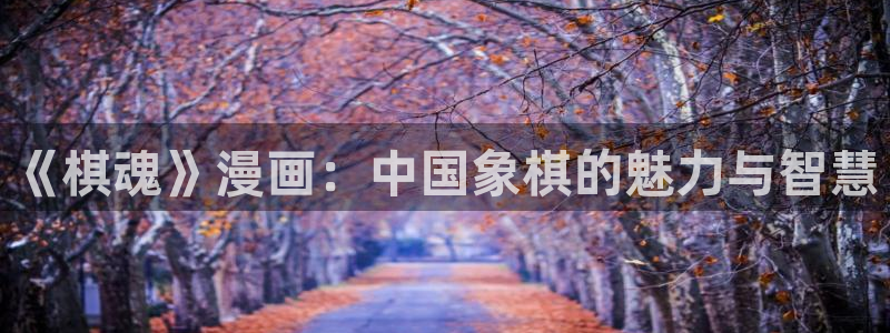 禁漫天堂网址是多少