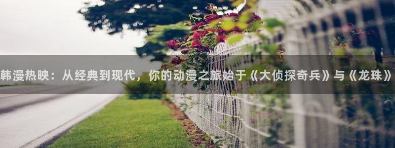 禁漫天堂jmcomic网页版