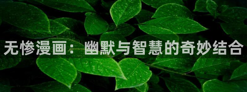 禁漫天堂网页网址