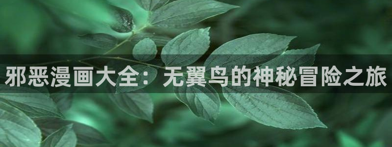 禁漫天堂免费漫画入口