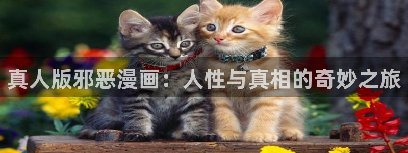 禁漫天堂最新版下载安装