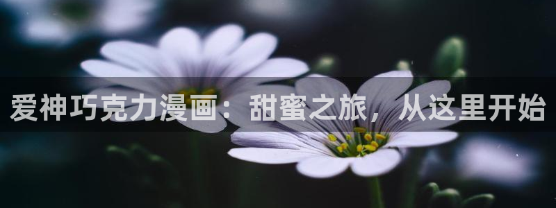 禁漫天堂jk